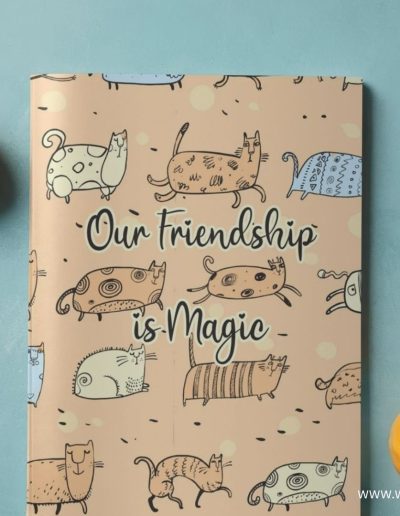 Our Friendship is Magic: Friendship Journal