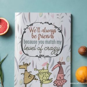 We'll Always Be Friends Because You Match My Level of Crazy: Sweet Best Friend Long Distance Friendship