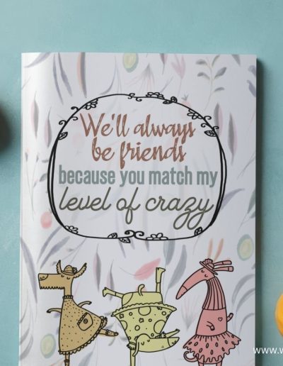 We'll Always Be Friends Because You Match My Level of Crazy: Sweet Best Friend Long Distance Friendship